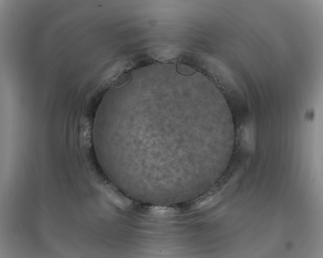X0000094460234200711151457