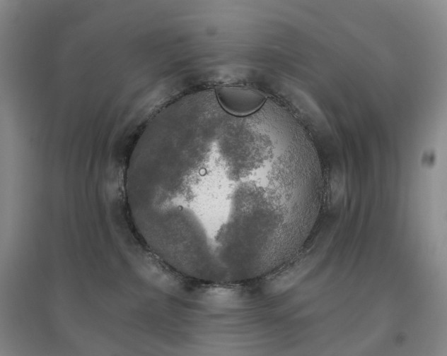X0000094460236200711151457