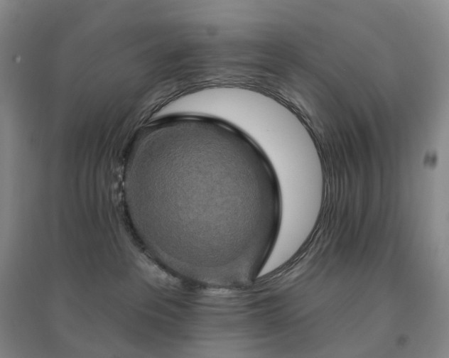 X0000094460237200711151457