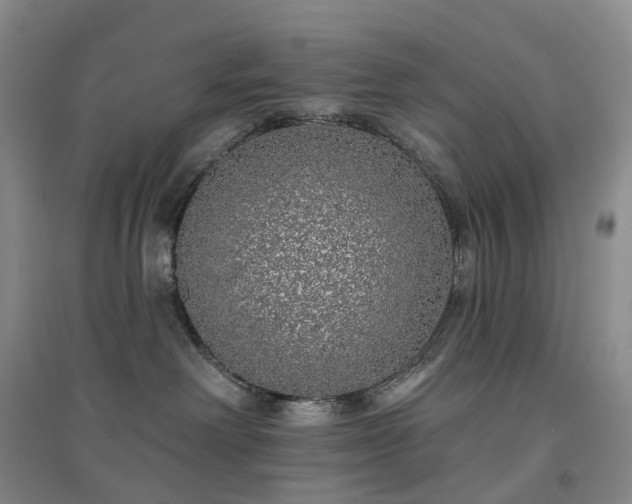 X0000094460238200711151457