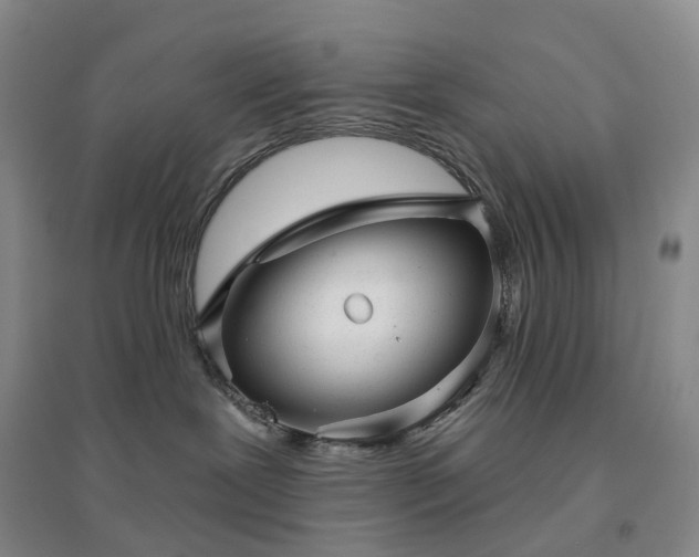 X0000094460239200711151457