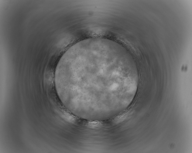 X0000094460240200711151457
