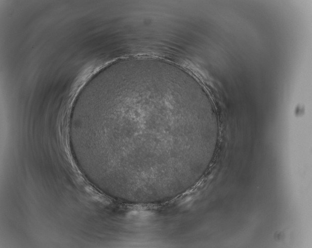 X0000094460241200711151456