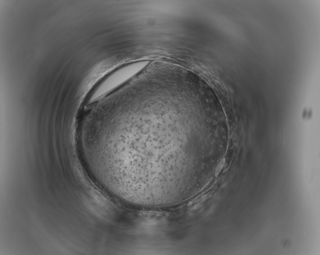 X0000094460242200711151456