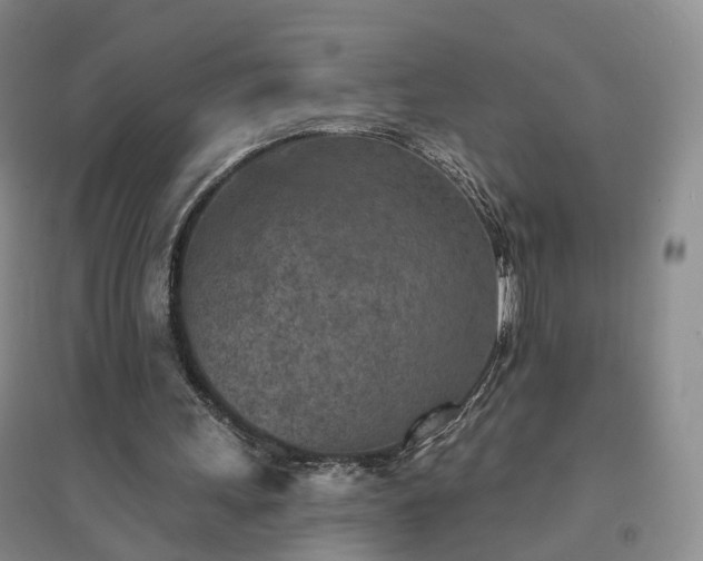 X0000094460243200711151456
