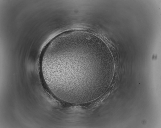 X0000094460244200711151456