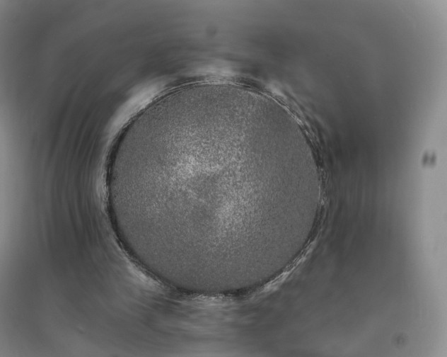 X0000094460245200711151456