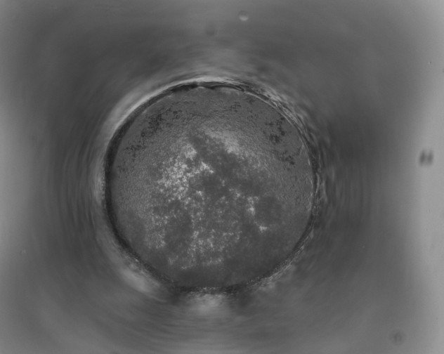 X0000094460247200711151456