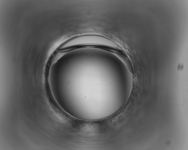 X0000094460248200711151456