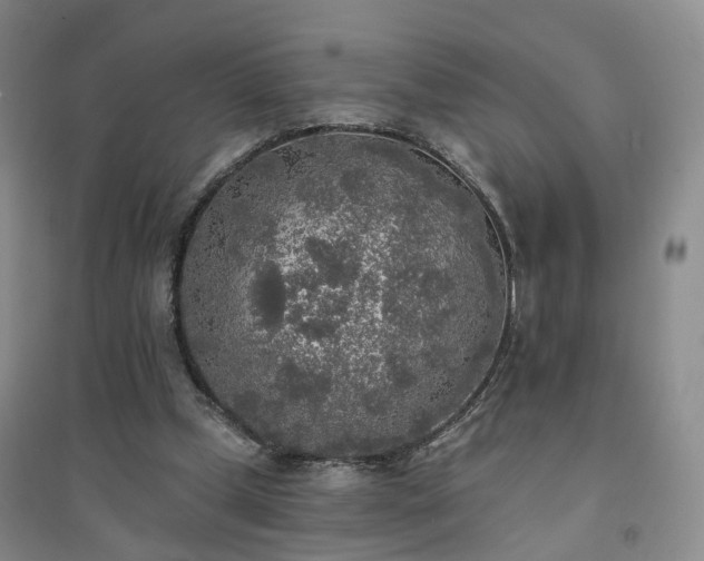 X0000094460249200711151456