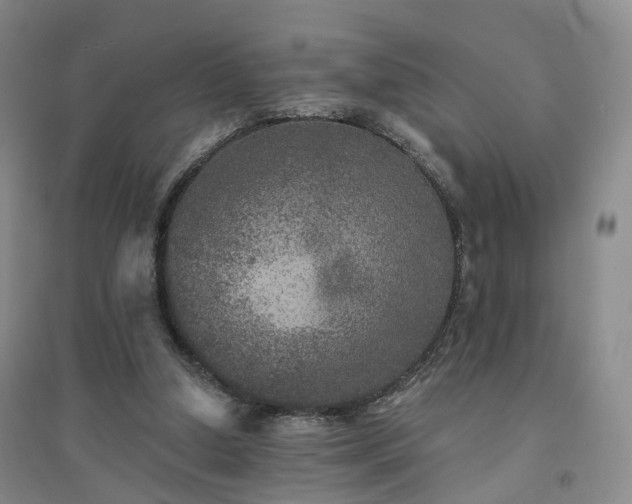 X0000094460250200711151456