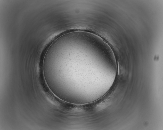 X0000094460252200711151456