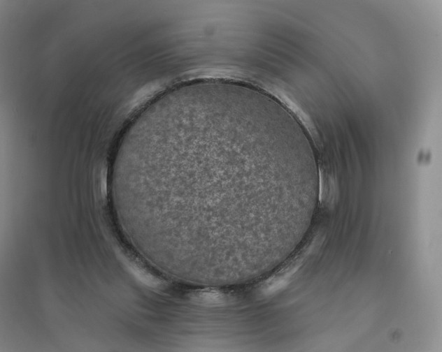 X0000094460253200711151456