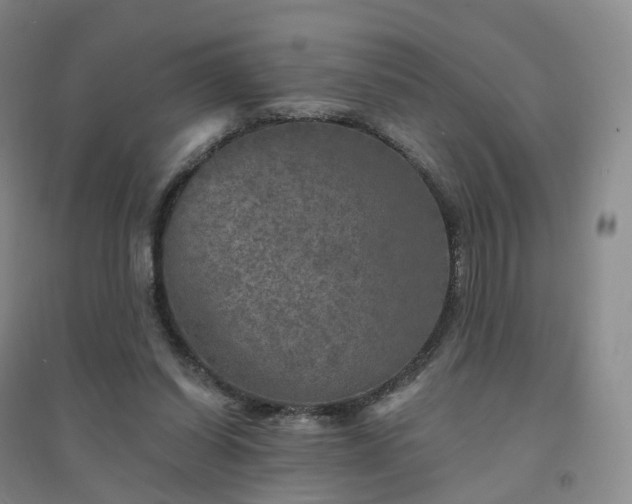 X0000094460254200711151456