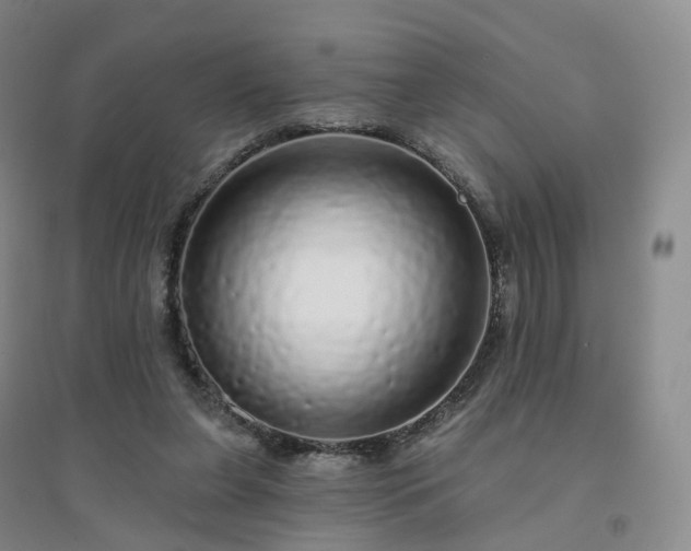X0000094460255200711151456