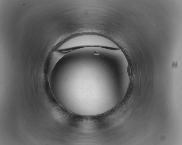 X0000094460256200711151456