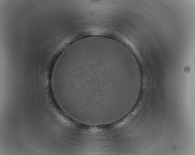 X0000094460257200711151456