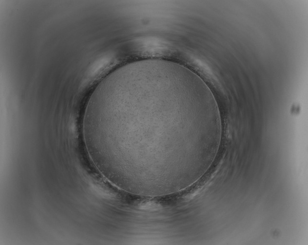 X0000094460258200711151456