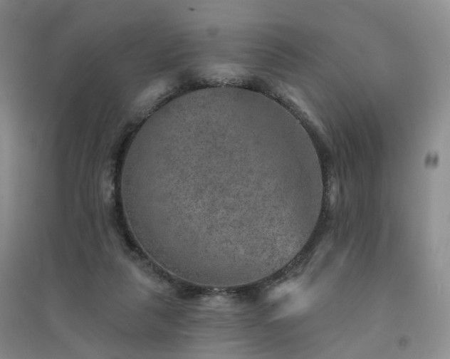 X0000094460259200711151456