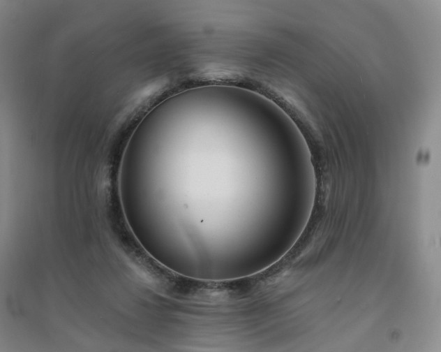 X0000094460260200711151456