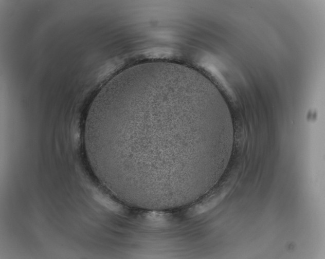 X0000094460261200711151456