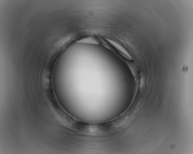 X0000094460264200711151456