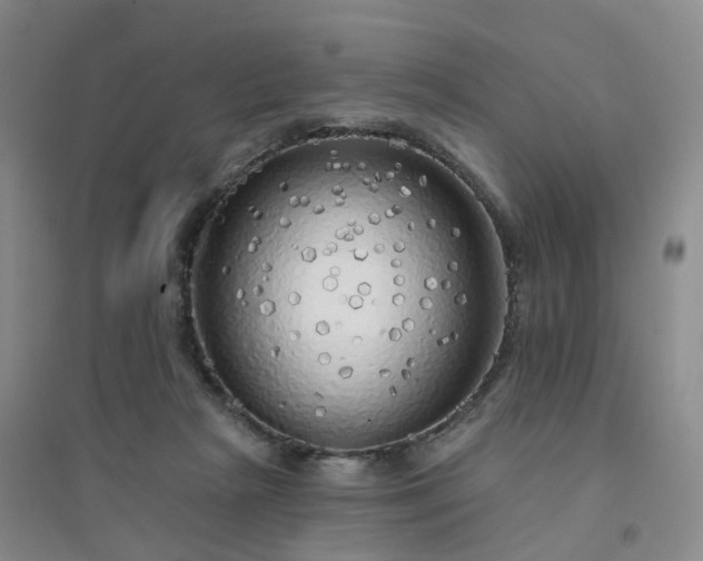 X0000094460265200711151456