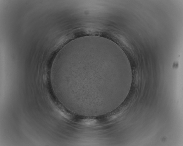 X0000094460266200711151457
