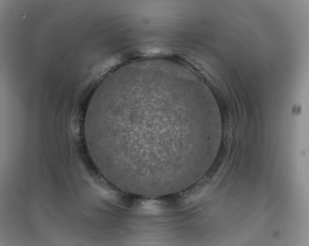 X0000094460268200711151457