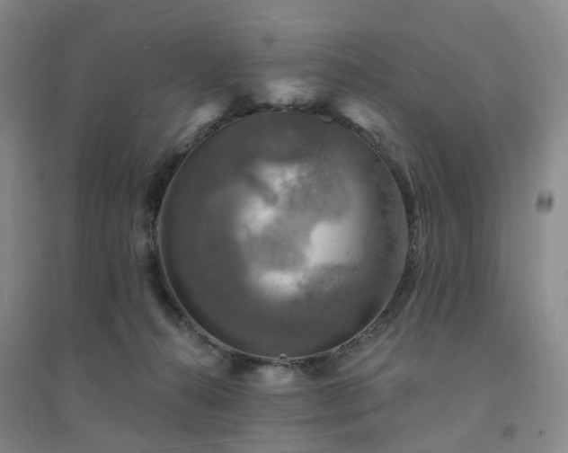 X0000094460272200711151457