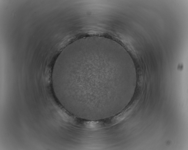 X0000094460273200711151457