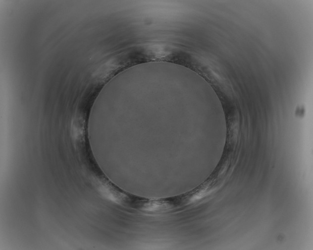 X0000094460274200711151457