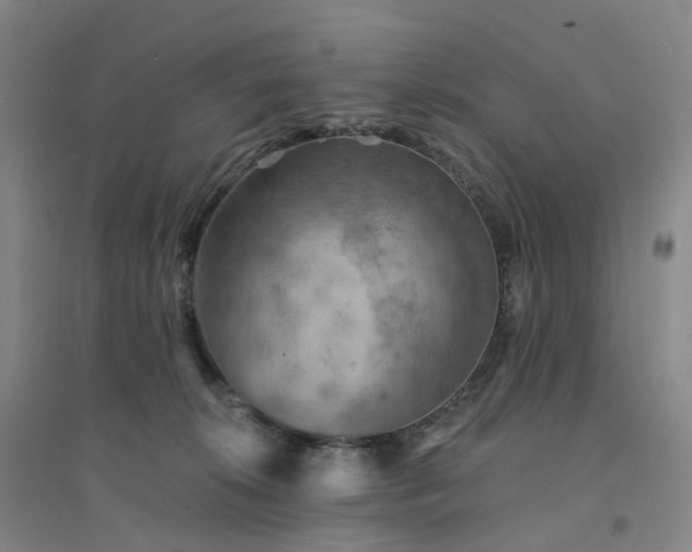 X0000094460276200711151457