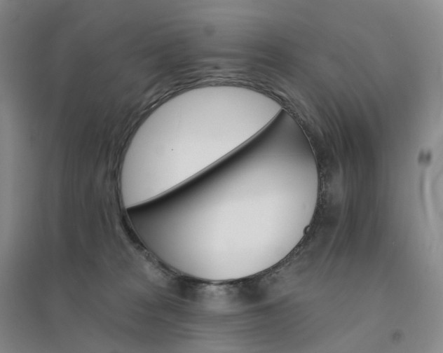 X0000094460277200711151457