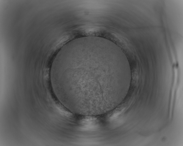X0000094460278200711151457