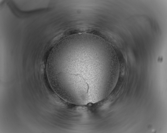 X0000094460279200711151457