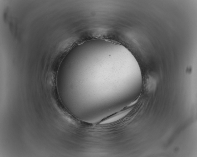 X0000094460280200711151457