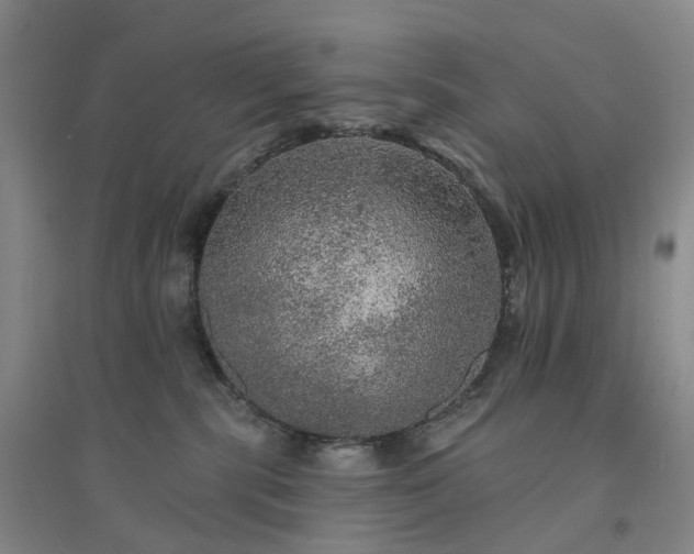 X0000094460283200711151457