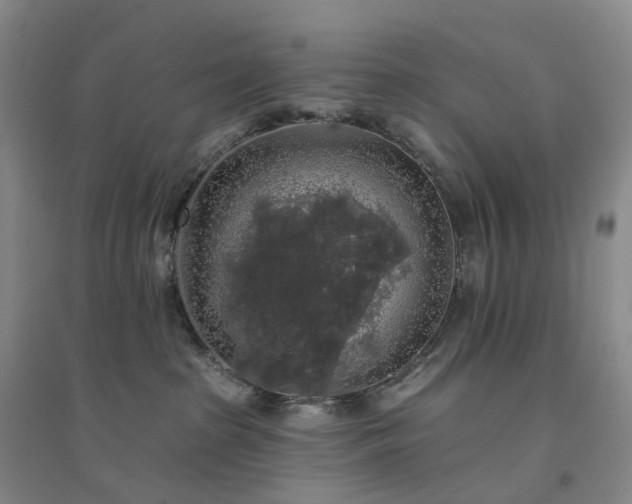 X0000094460285200711151457