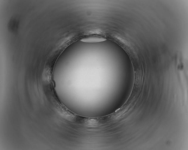 X0000094460287200711151457