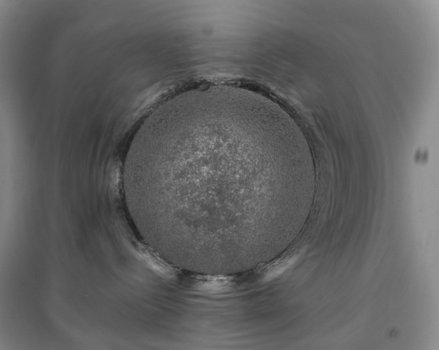 X0000094460288200711151457