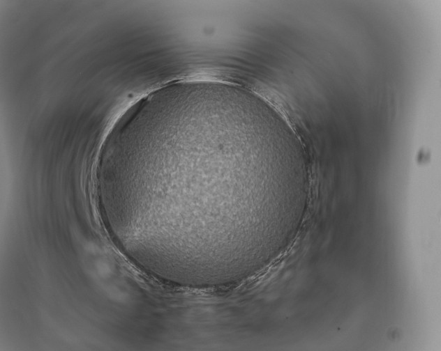 X0000094460289200711151456