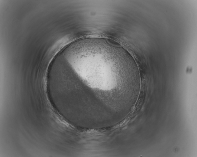 X0000094460290200711151456