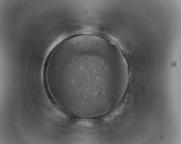 X0000094460292200711151456