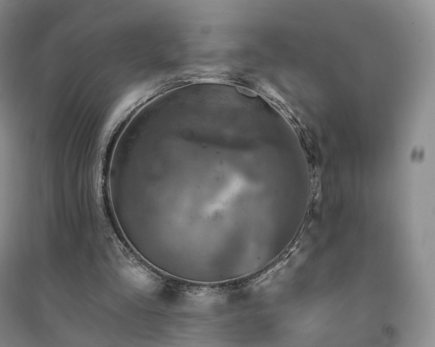 X0000094460293200711151456