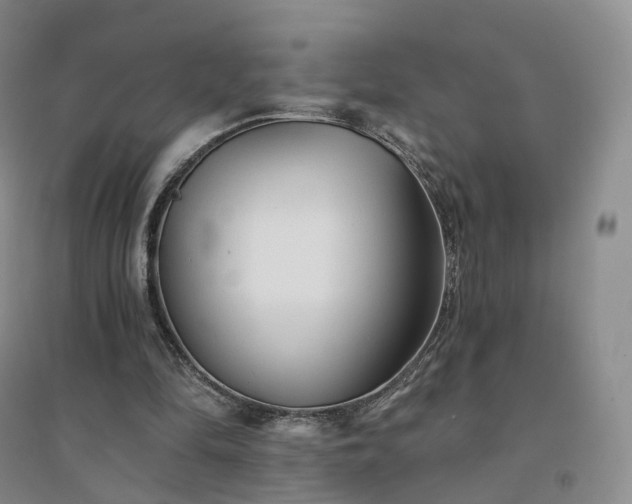 X0000094460294200711151456