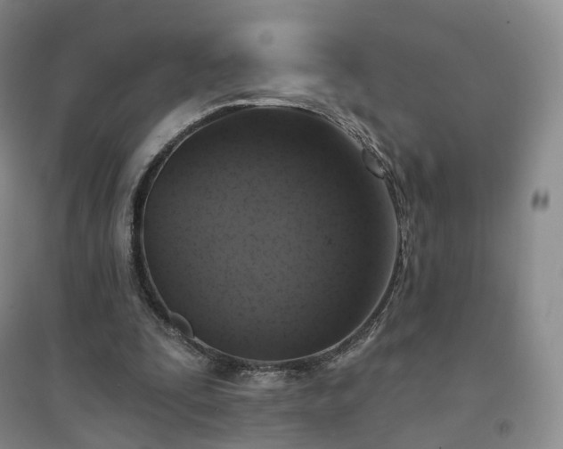 X0000094460295200711151456