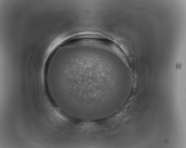 X0000094460296200711151456