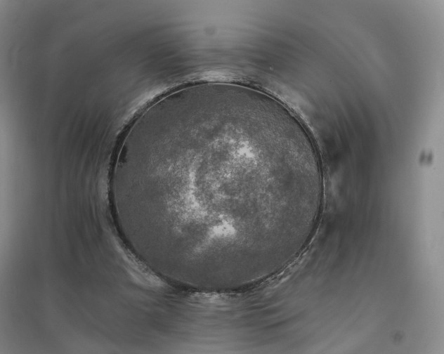 X0000094460297200711151456