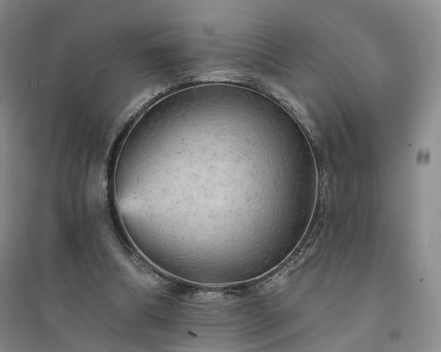 X0000094460298200711151456